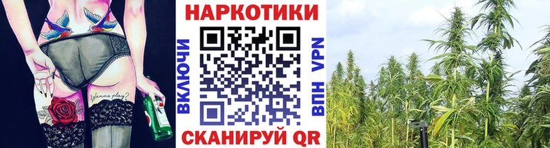 Купить наркотики цена Александров Кокаин  Alpha PVP  кракен как зайти  Мефедрон 
