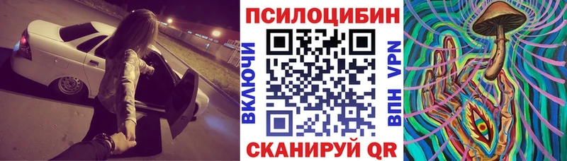 Псилоцибиновые грибы Psilocybine cubensis  купить закладку  Александров 