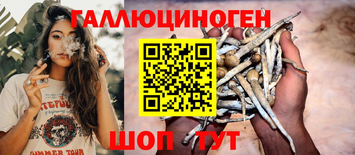 Псилоцибиновые грибы Psilocybine cubensis  Галлюциногенные грибы Magic Shrooms  Александров  Вход с VPN 